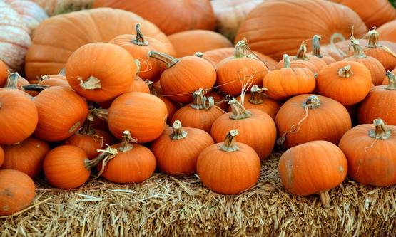 Halloween Arrangement Postelhoef